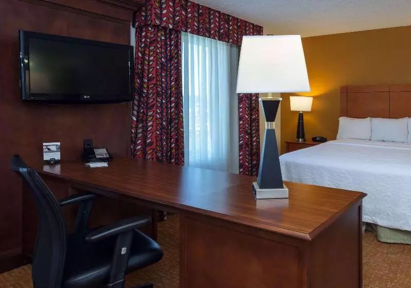 اتاق استاندارد با تخت بزرگ برای معلولان, The Park Vista A Doubletree By Hilton Hotel Gatlinburg