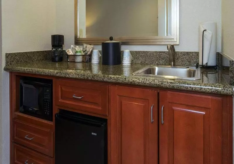 اتاق استاندارد با تخت بزرگ برای معلولان, The Park Vista A Doubletree By Hilton Hotel Gatlinburg