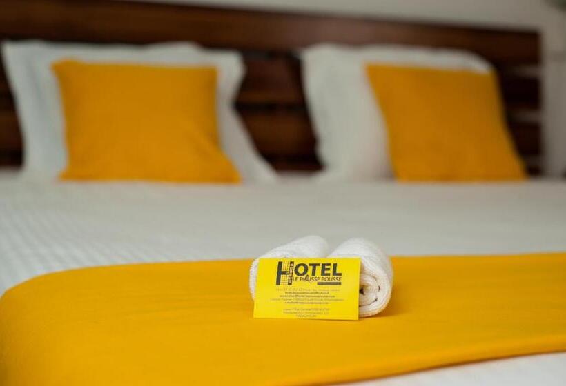 اتاق استاندارد, Le Pousse Pousse