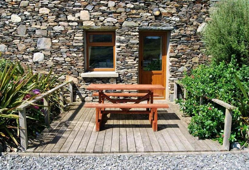 חדר סטנדרט, Dolphin