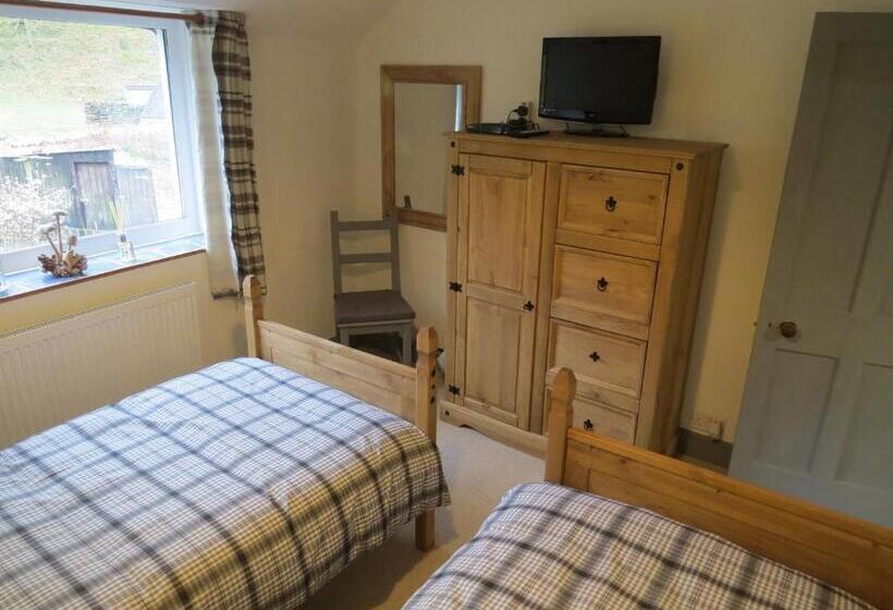 غرفة قياسية مطلّة علي الحديقة, Yr Hen Farcdy