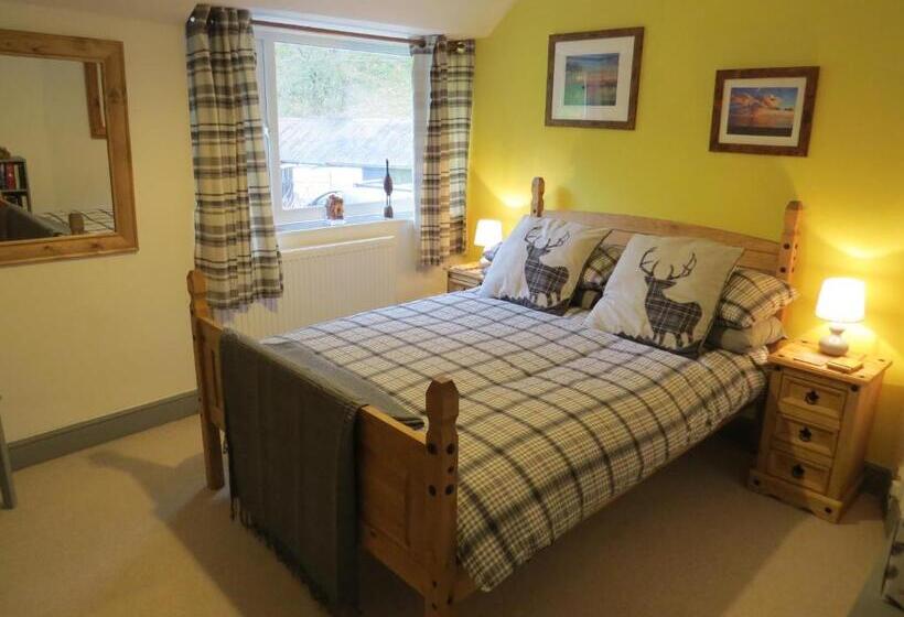 غرفة قياسية مطلّة علي الحديقة, Yr Hen Farcdy