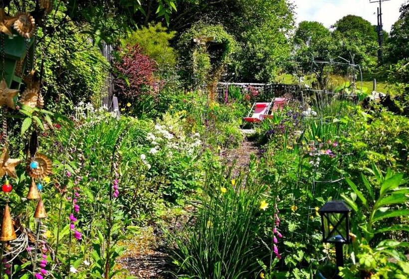 جناح غرفتين نوم, Yr Hen Farcdy