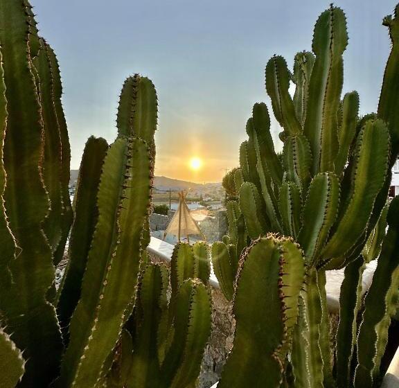 סוויטת ג'וניור עם טרסה, Sofos Suites Mykonos