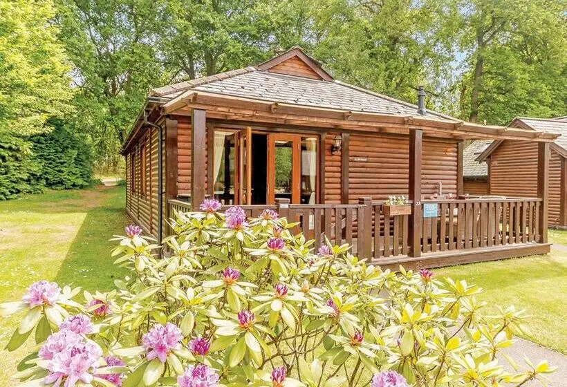 スタンダードルーム, Tilford Woods Lodge Retreat