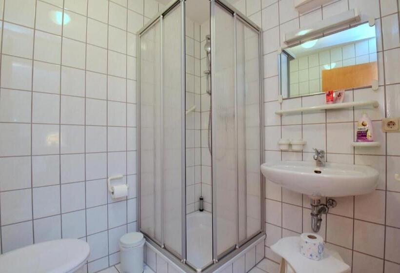 スタンダードシングルルーム, Landhotel Der Distelhof Mit Scheunencafé