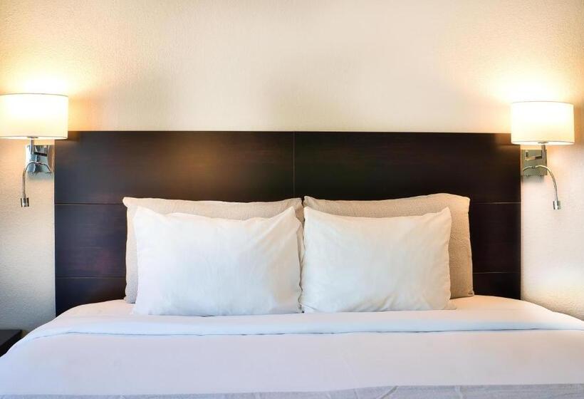 اتاق استاندارد با تخت بزرگ, Align Inn Vermont