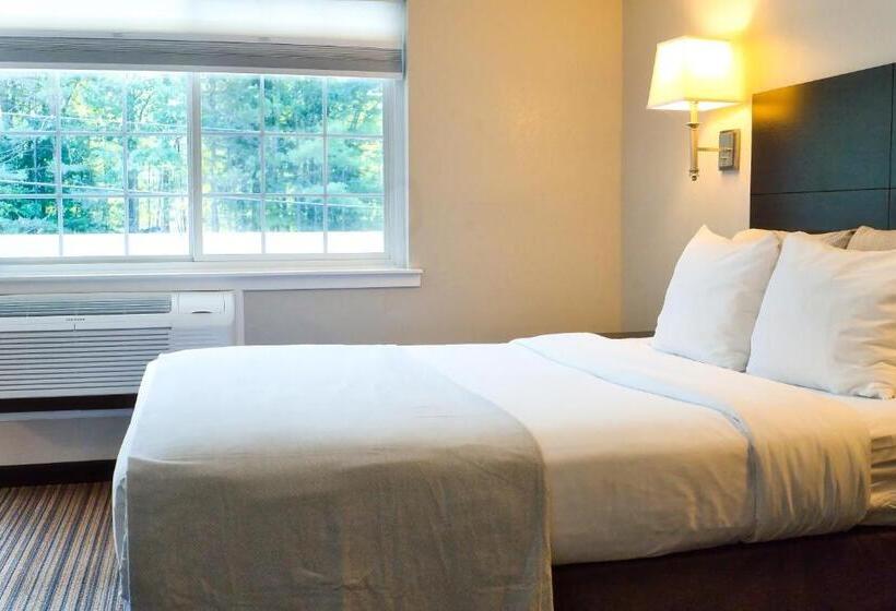 اتاق استاندارد, Align Inn Vermont