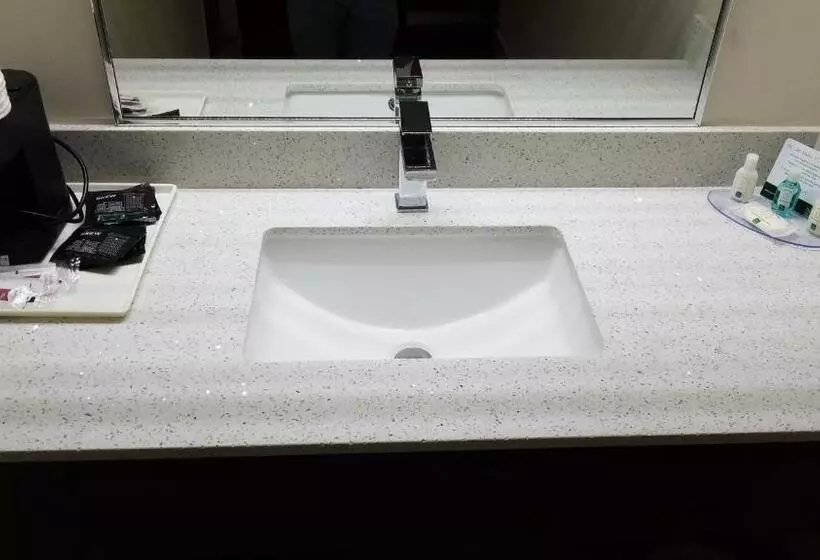 اتاق استاندارد با تخت بزرگ, Quality Inn Brunswick