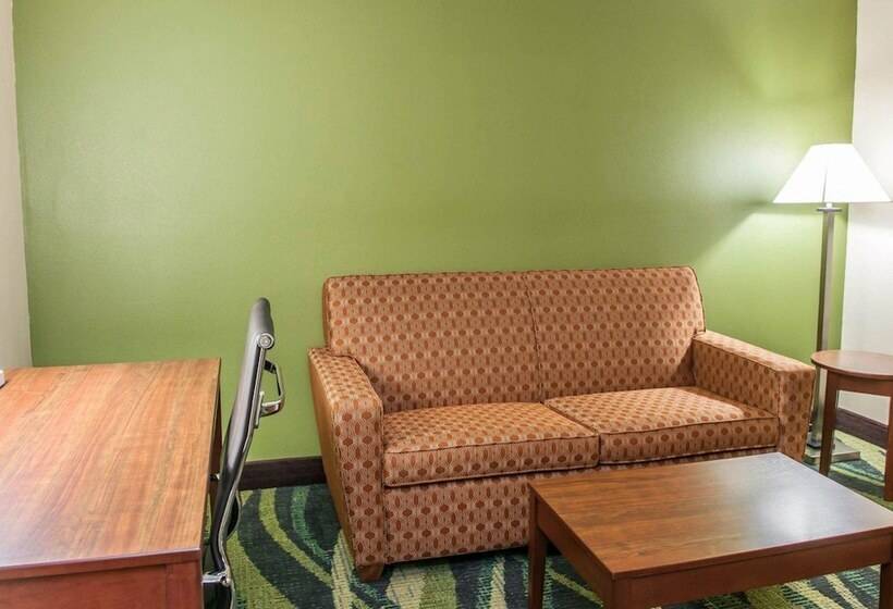 اتاق استاندارد, Quality Inn & Suites South Bend Airport