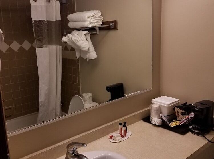 غرفة ديلوكس, Ramada By Wyndham Flemington