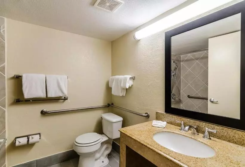 اتاق دلوکس مخصوص معلولین, Red Roof Inn Plus+ Wichita East