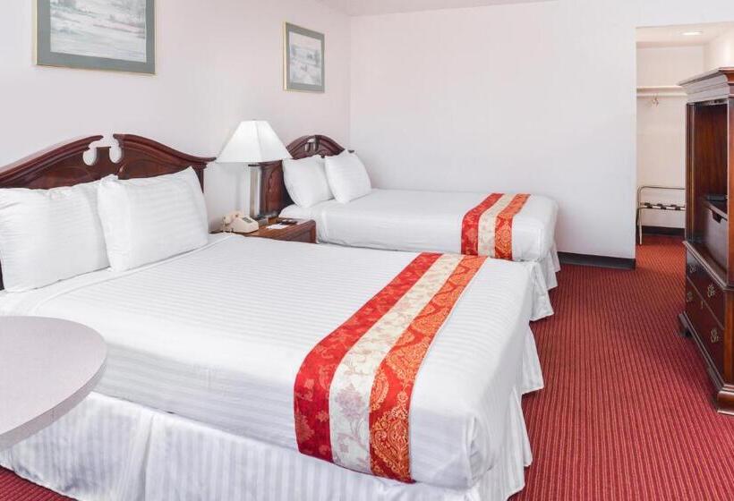 חדר אקונומי, Motel Zuma