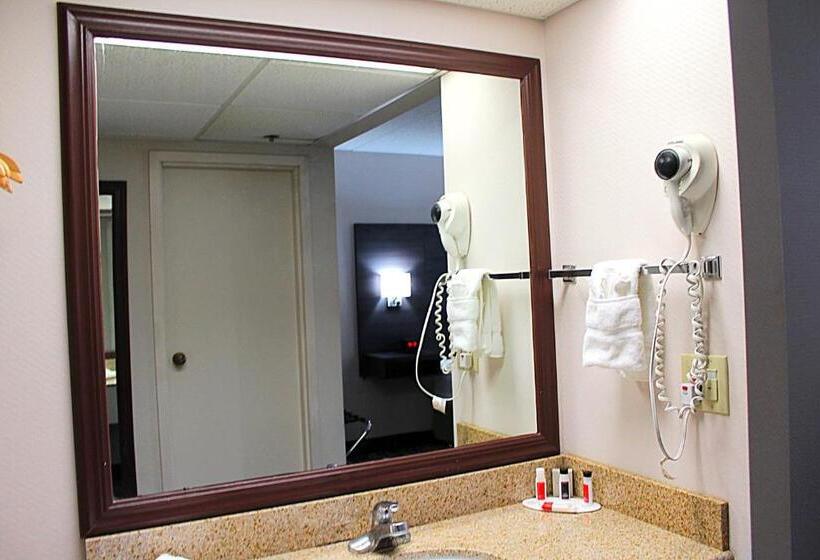 장애인용 디럭스룸, Baymont By Wyndham Springfield