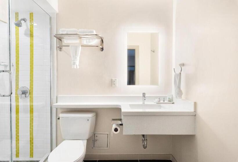 غرفة قياسية سرير كينج, Best Western Red Coach Inn