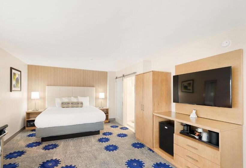 غرفة قياسية سرير كينج, Best Western Red Coach Inn