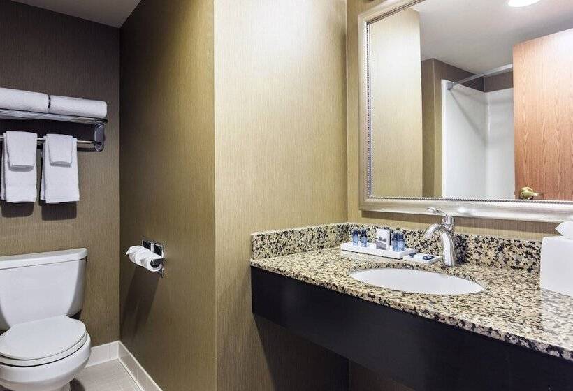 סוויטה, Delta Hotels By Marriott Fargo