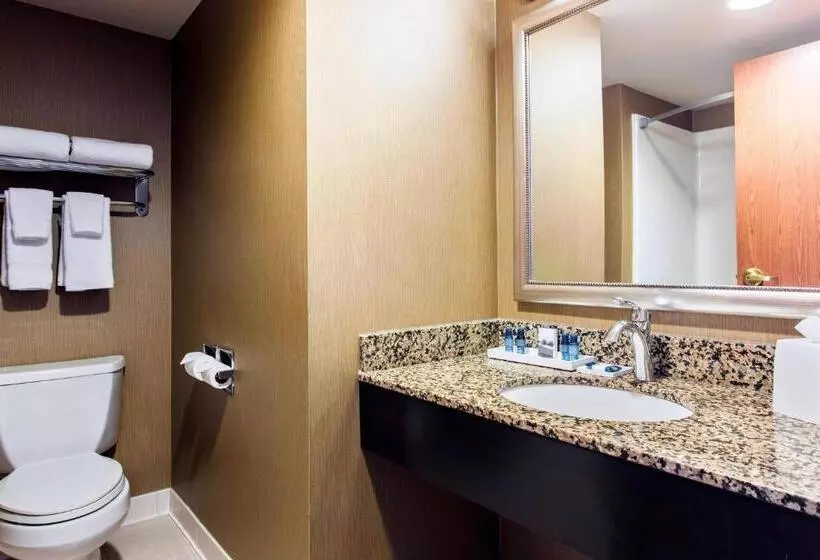 スイート, Delta Hotels By Marriott Fargo