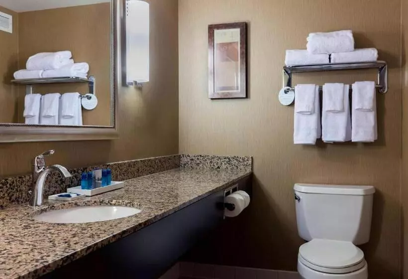 スイート, Delta Hotels By Marriott Fargo