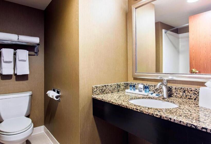 Люкс Кровать Кинг, Delta Hotels By Marriott Fargo