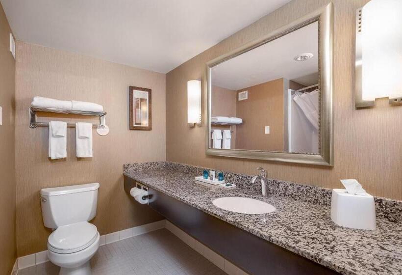 מיטת קינג בסוויטה, Delta Hotels By Marriott Fargo