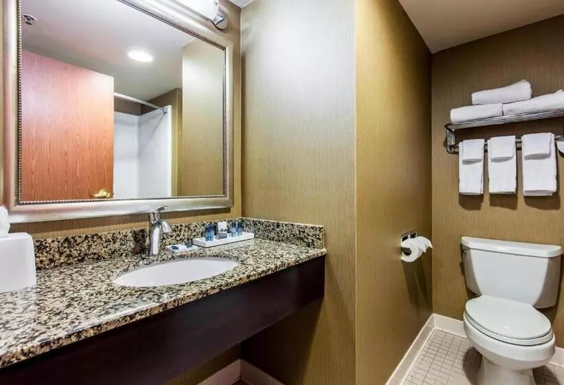 ２ダブルベッドのスタンダードルーム, Delta Hotels By Marriott Fargo