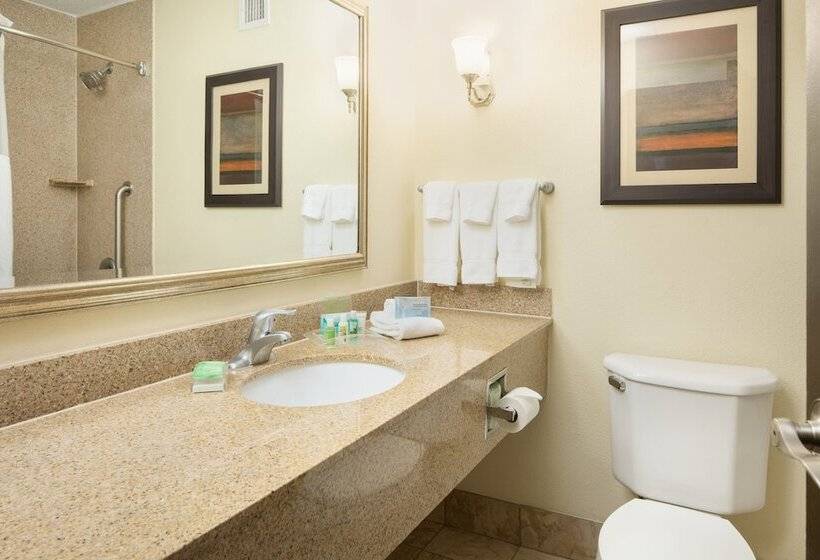 جناح, Holiday Inn And Suites Charleston West, An Ihg