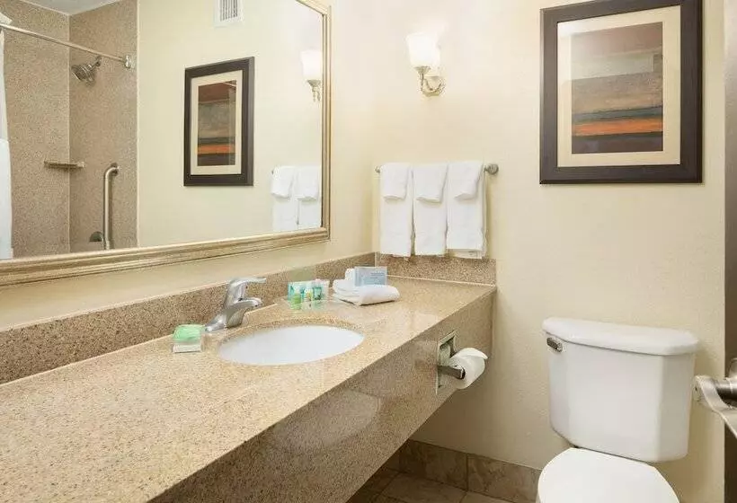 سوییت, Holiday Inn And Suites Charleston West, An Ihg