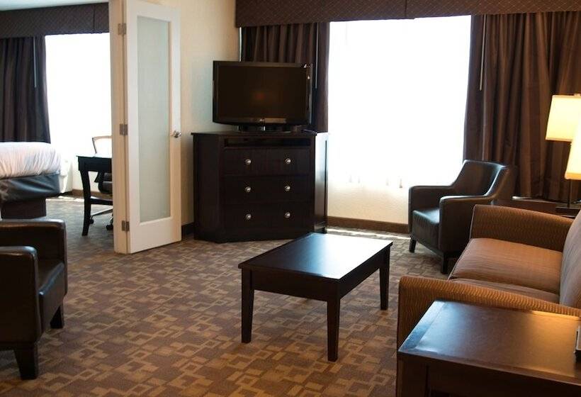 스위트, Holiday Inn And Suites Charleston West, An Ihg