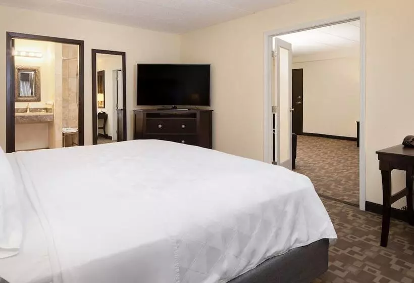 اتاق استاندارد, Holiday Inn And Suites Charleston West, An Ihg