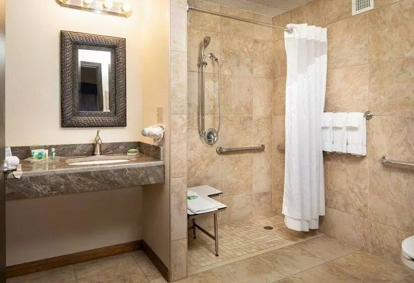 سوئیت برای معلولان, Holiday Inn And Suites Charleston West, An Ihg
