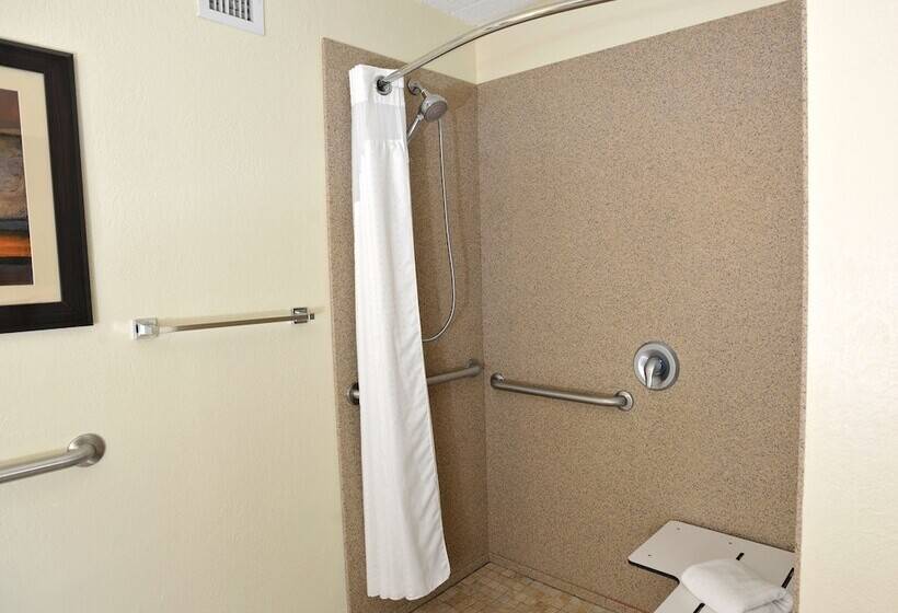 جناح لذوى الاحتياجات الخاصة, Holiday Inn And Suites Charleston West, An Ihg