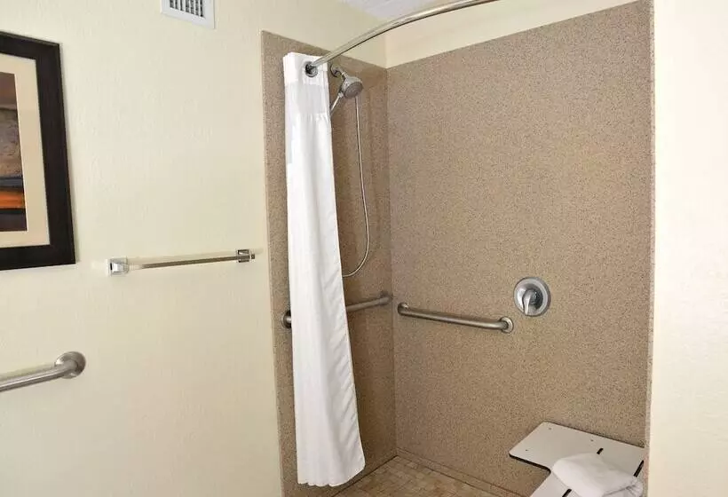 سوئیت برای معلولان, Holiday Inn And Suites Charleston West, An Ihg