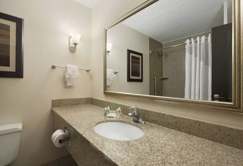 اتاق استاندارد با 2 تخت دوبل, Holiday Inn And Suites Charleston West, An Ihg