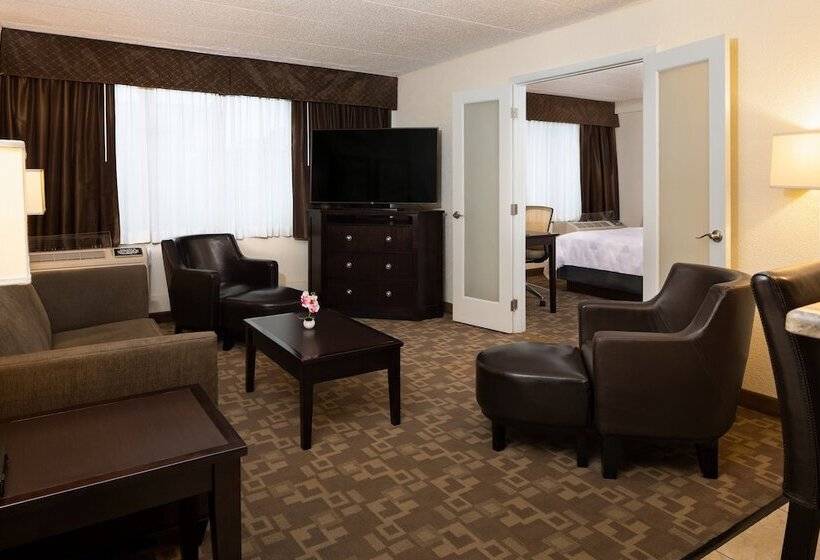 جناح لذوى الاحتياجات الخاصة, Holiday Inn And Suites Charleston West, An Ihg
