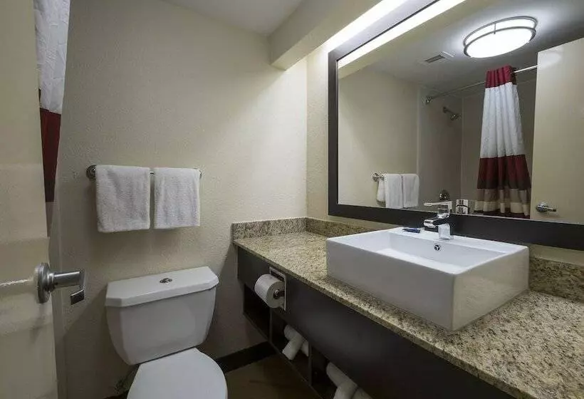 デラックスルーム, Red Roof Inn Plus+ Houston   Energy Corridor