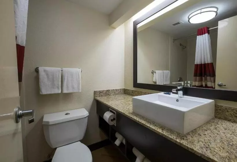 身障者適用スタンダードルーム, Red Roof Inn Plus+ Houston   Energy Corridor