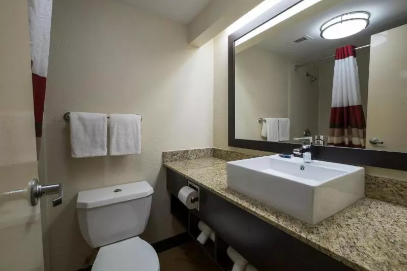 スタンダードルーム, Red Roof Inn Plus+ Houston   Energy Corridor