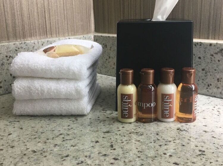 클럽 룸, Sheraton Minneapolis West