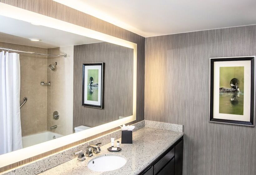 클럽 룸, Sheraton Minneapolis West