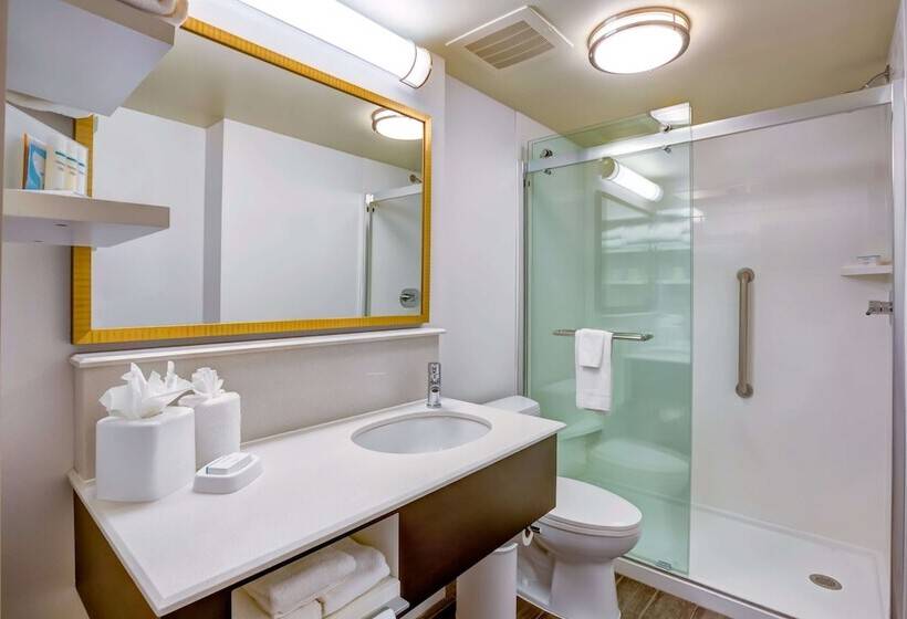 חדר סטנדרט, Hampton Inn Bostonnorwood