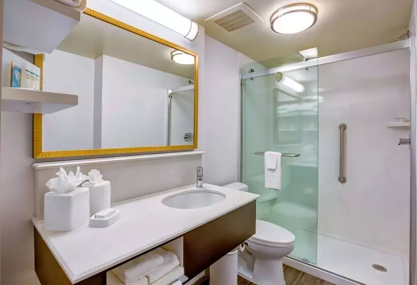 اتاق استاندارد, Hampton Inn Bostonnorwood