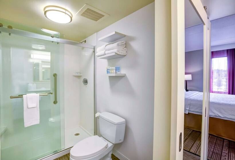 חדר סטנדרט, Hampton Inn Bostonnorwood