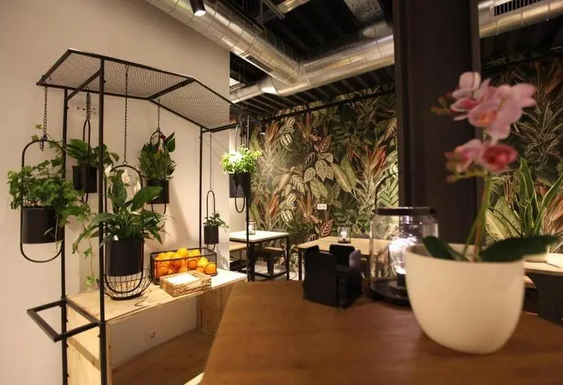 اتاق لوکس با بالکن, Az The Botanic Hostel