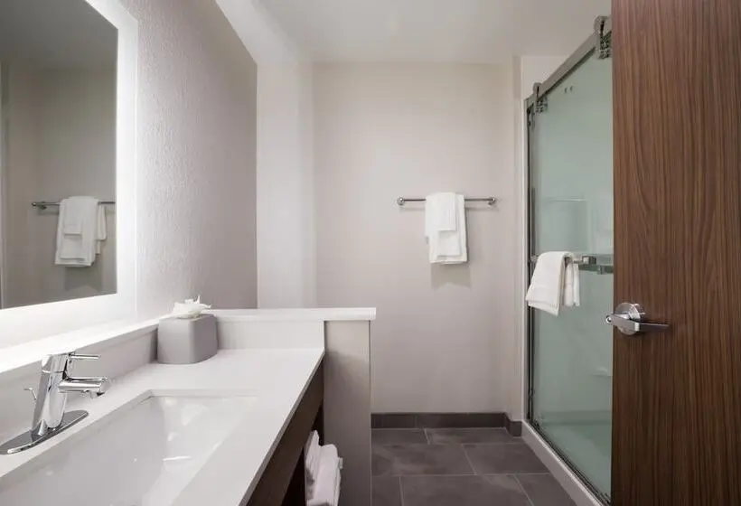 スタンダードルーム, Holiday Inn Express & Suites Chicago Hoffman Estates, An Ihg
