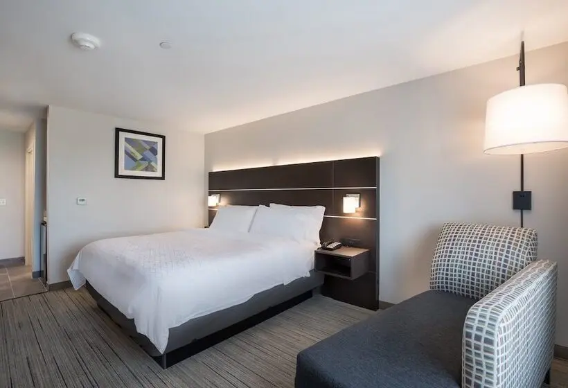 スタンダードルーム, Holiday Inn Express & Suites Chicago Hoffman Estates, An Ihg