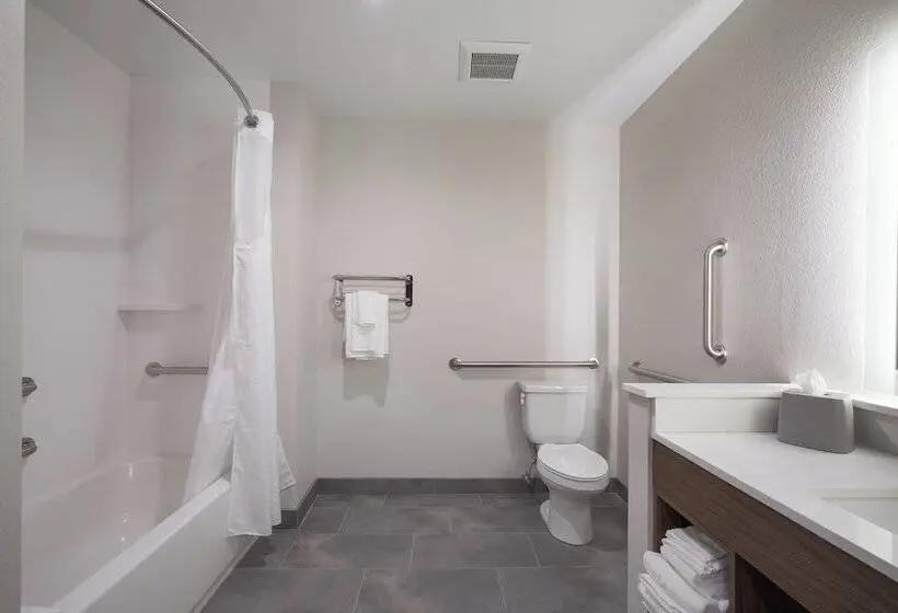 2ダブルベッドのスタンダードルーム, Holiday Inn Express & Suites Chicago Hoffman Estates, An Ihg