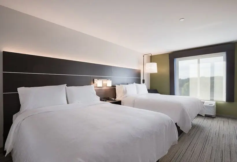 2ダブルベッドのスタンダードルーム, Holiday Inn Express & Suites Chicago Hoffman Estates, An Ihg