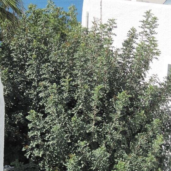 带1间卧室的公寓侧面带海景, Tatsis Apartments