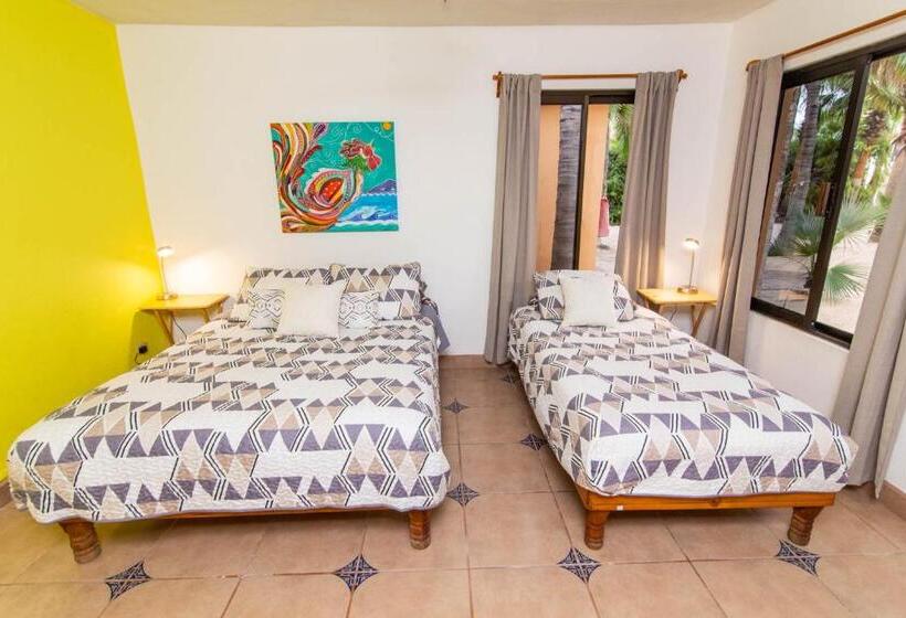 חדר סטנדרט נוף לים, Baja Joe S